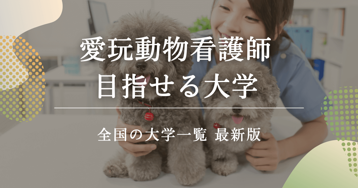 愛玩動物看護師が目指せる大学は？全国の大学を紹介します！