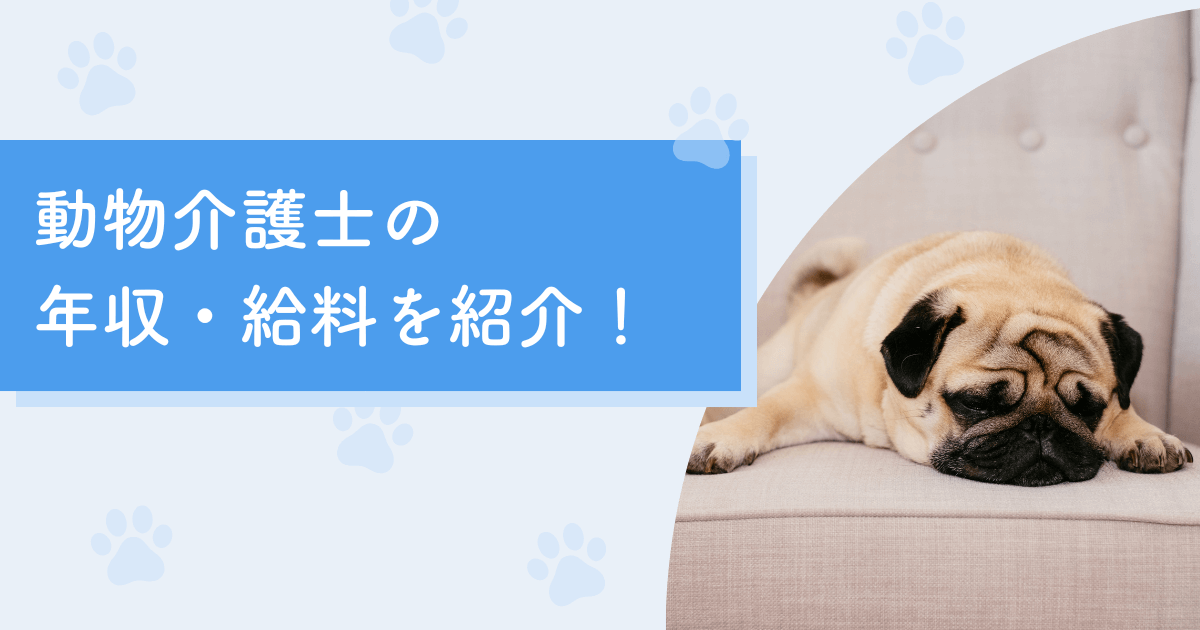 動物介護士（ペット介護士）の年収・給料を紹介！