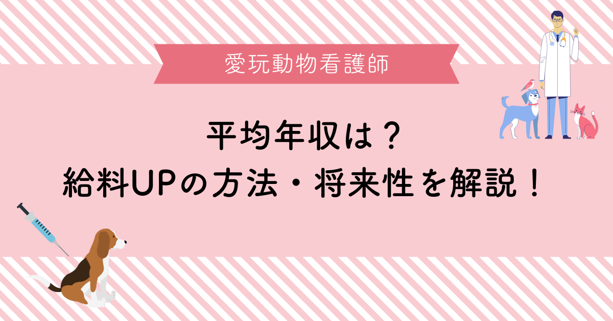 愛玩動物看護師の平均年収はどれくらい？給料アップの方法や将来性を解説！