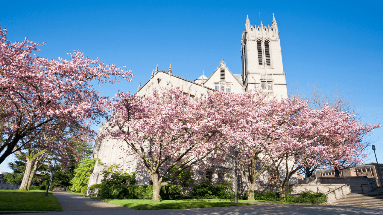 【関東エリア編】心理学が学べるおすすめの大学3選