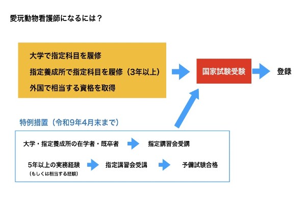 動物看護師が国家資格に！目指せる専門学校は？エリア別に紹介！